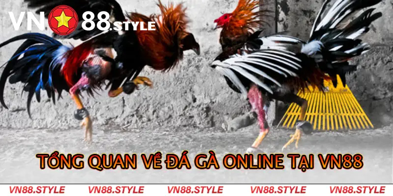 Tổng quan về đá gà online tại VN88